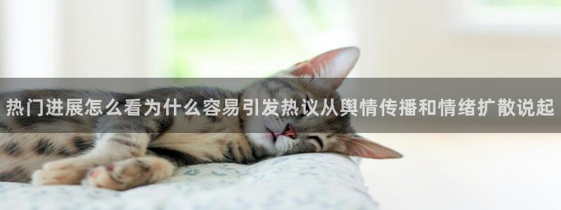 黑料爆料热点搜索